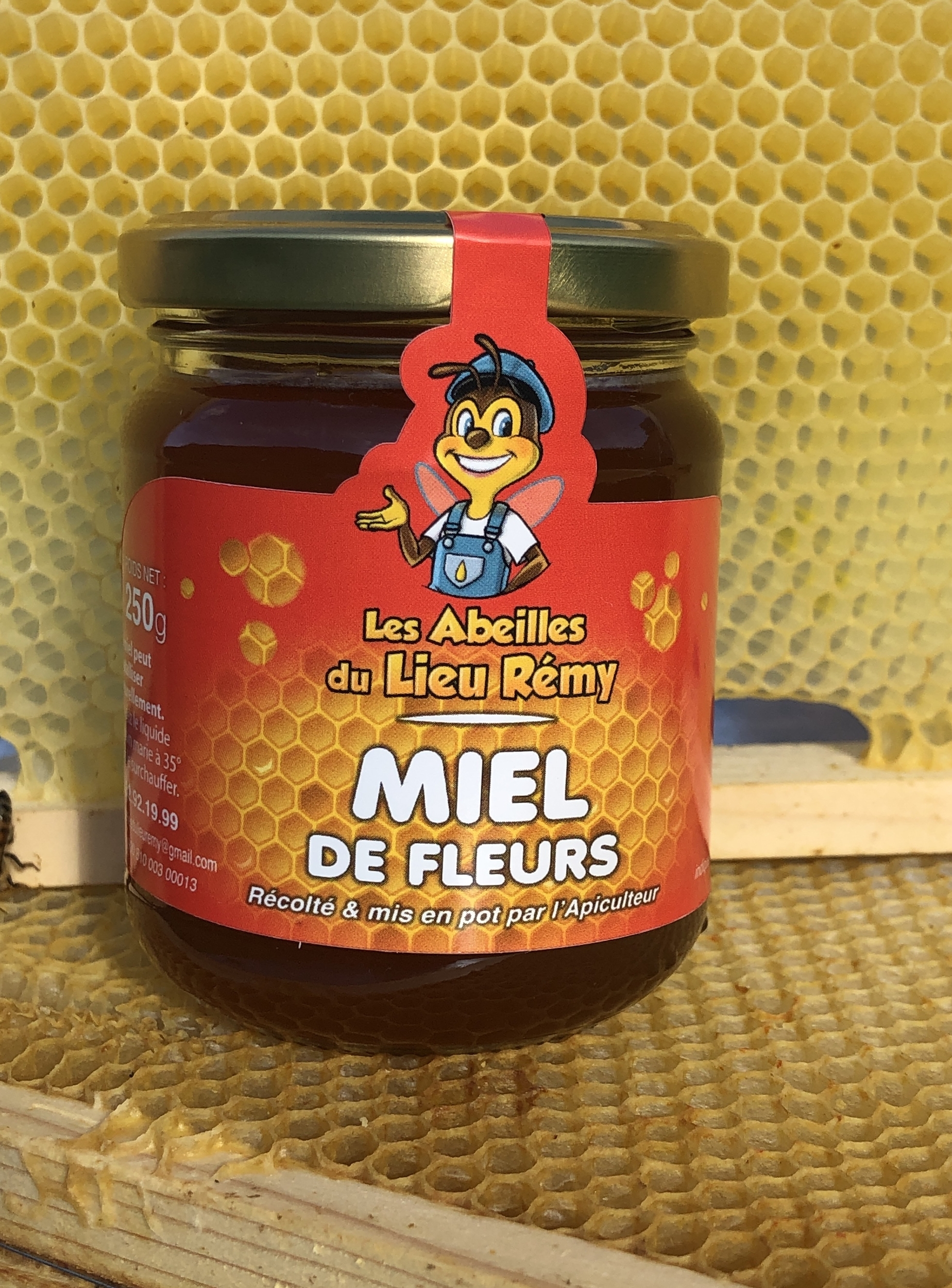 Miel d’été les abeilles du lieu Remy 250 g