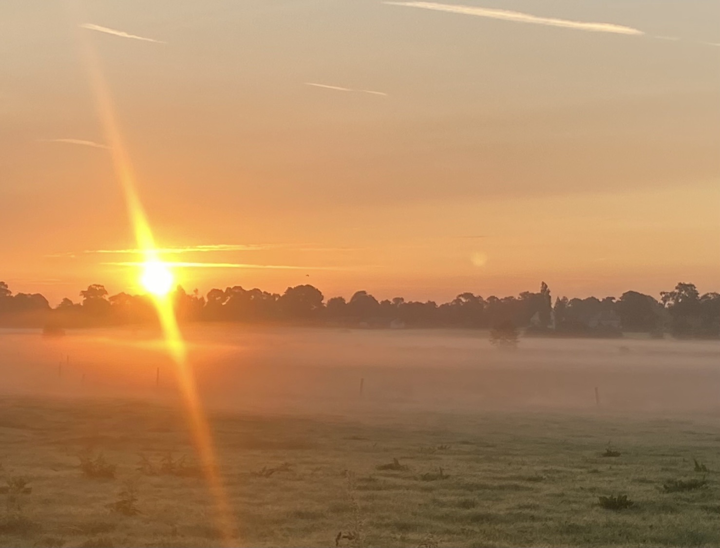Coucher de soleil sur le marais