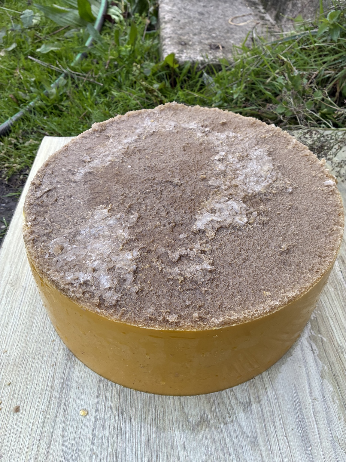 Dessous du pain de cire avec sa couche d’impuretés avant grattage