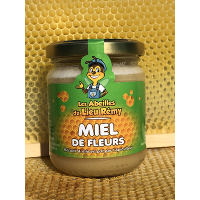 Miel de printemps, 250 g les abeilles du lieu Remy