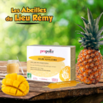 Ampoule de gelée royale bio
