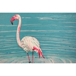 Flamand rose