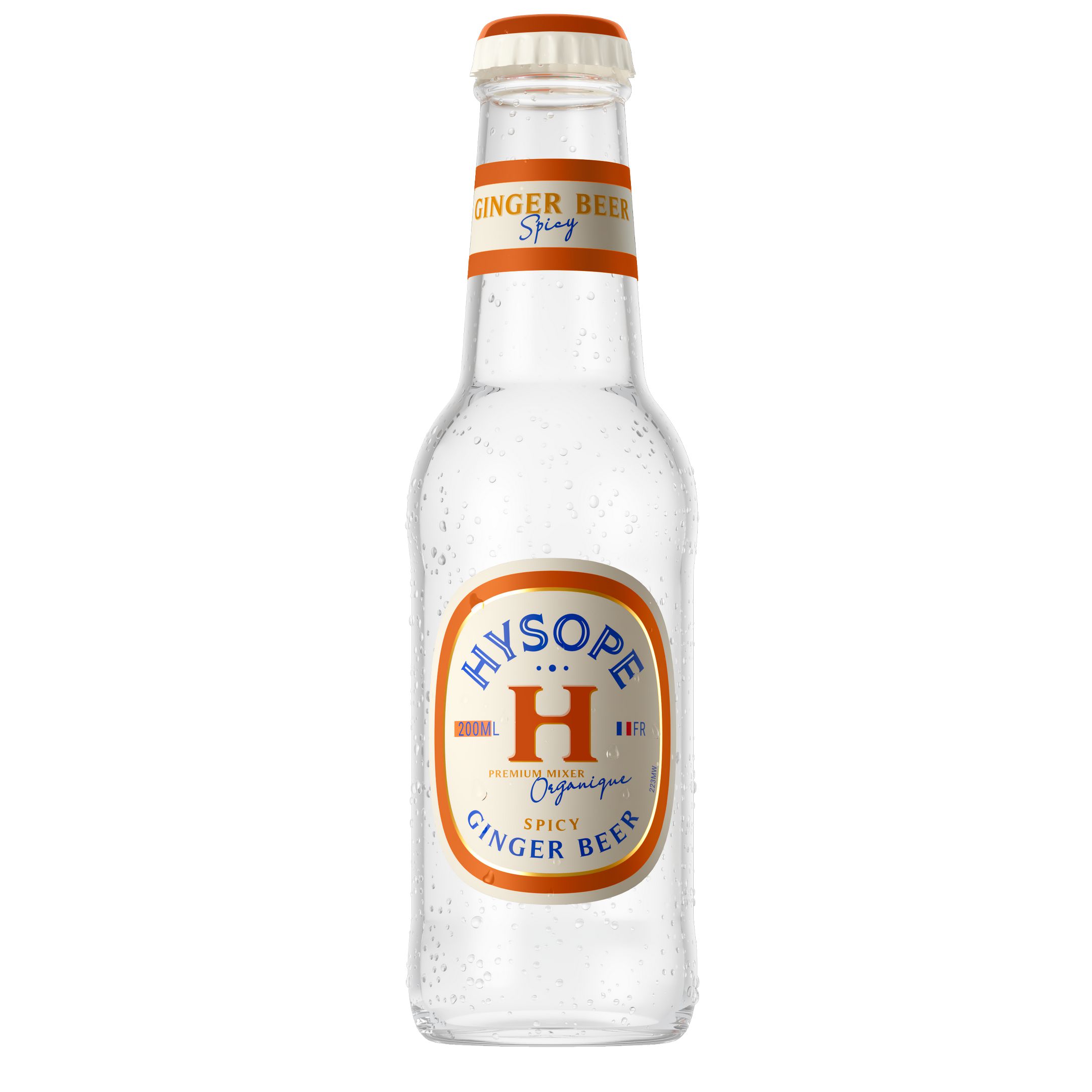 Ginger Beer Spicy – Hysope