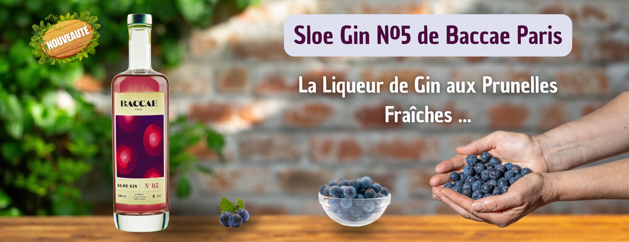 Sloe Gin de Baccae Paris