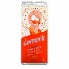 Mr Gaston'ic - Tonic Ginger Beer - Canette 25cl