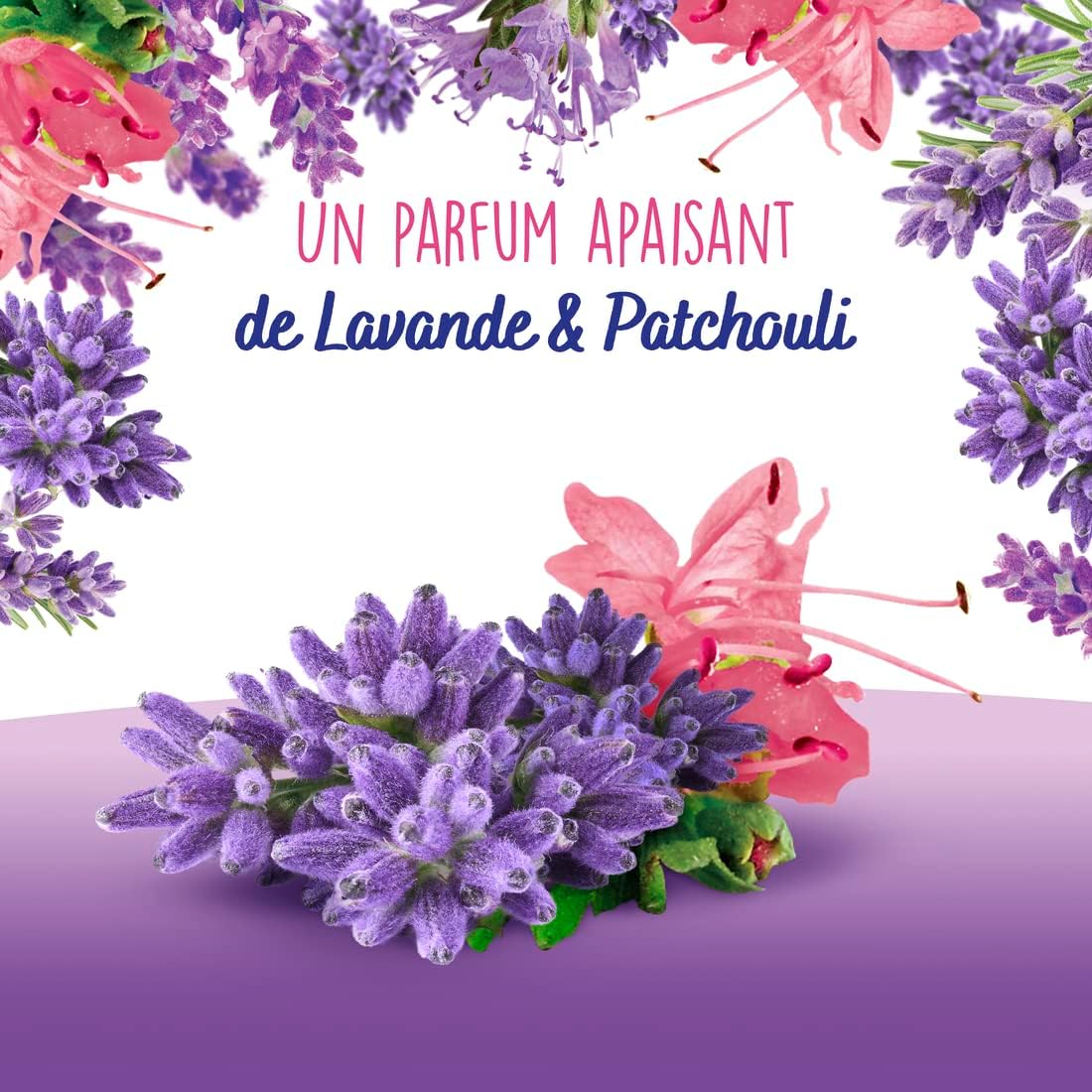 OMO LESSIVE CAPSULES 3-EN-1 LAVANDE &amp; PATCHOULI 5