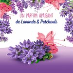 OMO LESSIVE CAPSULES 3-EN-1 LAVANDE & PATCHOULI 5