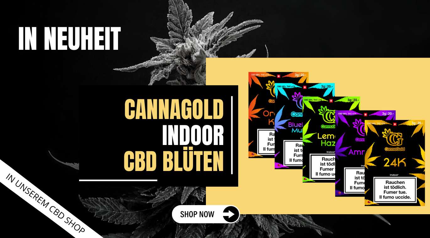 Kaufen Sie indoor cbd blüten von Cannagold