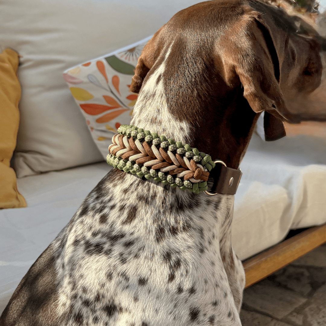collier-chien-paracorde-marron-vert-biothane-tresse-2