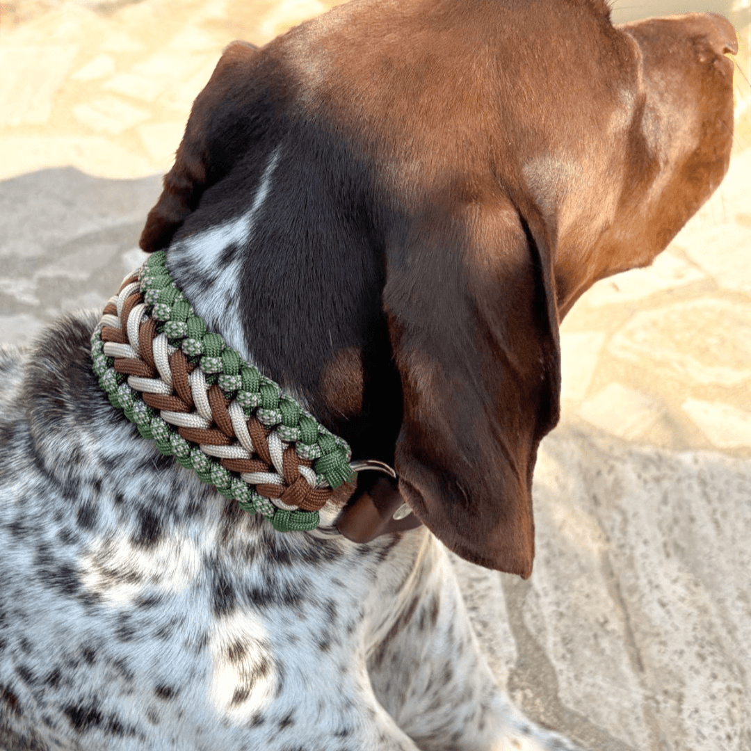 collier-chien-paracorde-marron-vert-biothane-tresse-3
