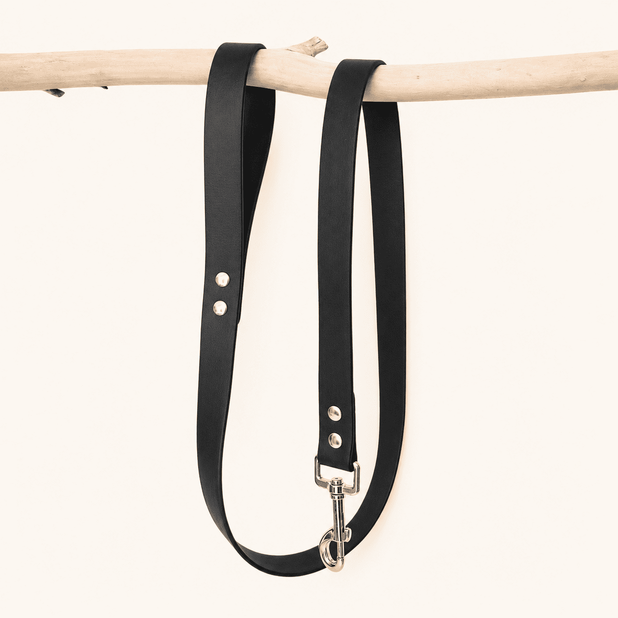 laisse-biothane-chiens-classique-noir
