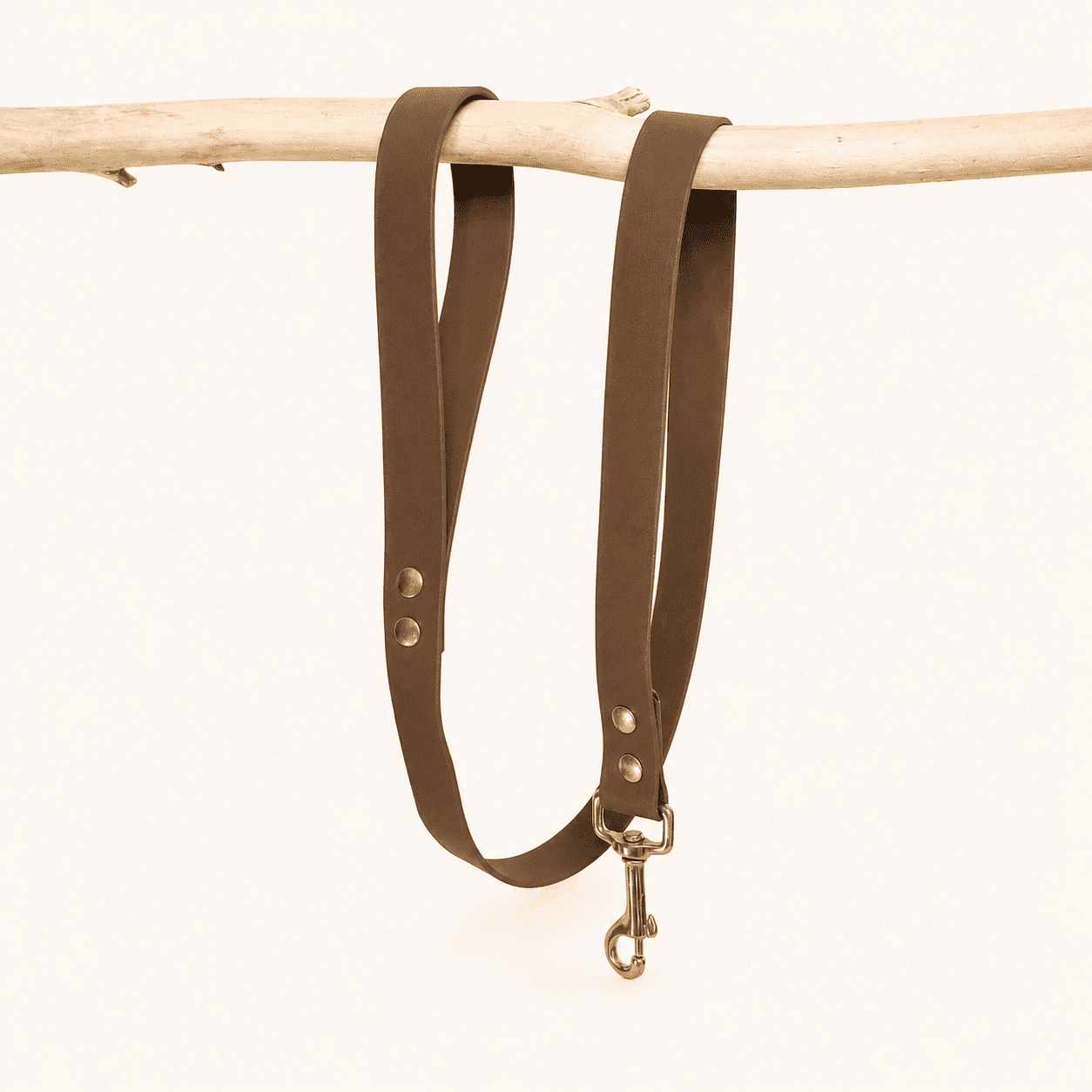 laisse-biothane-chiens-classique-marron