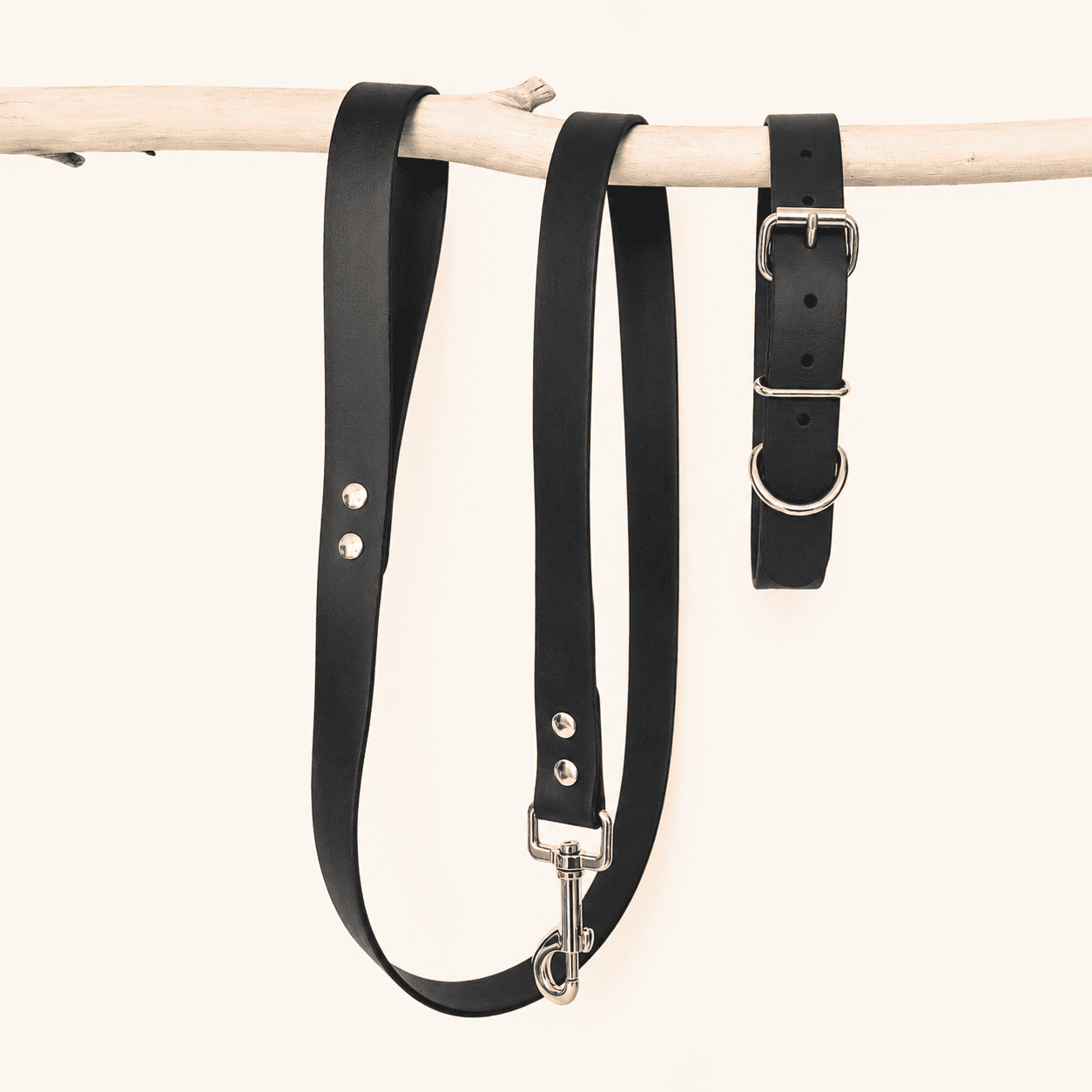 laisse-collier-biothane-chiens-classique-noir