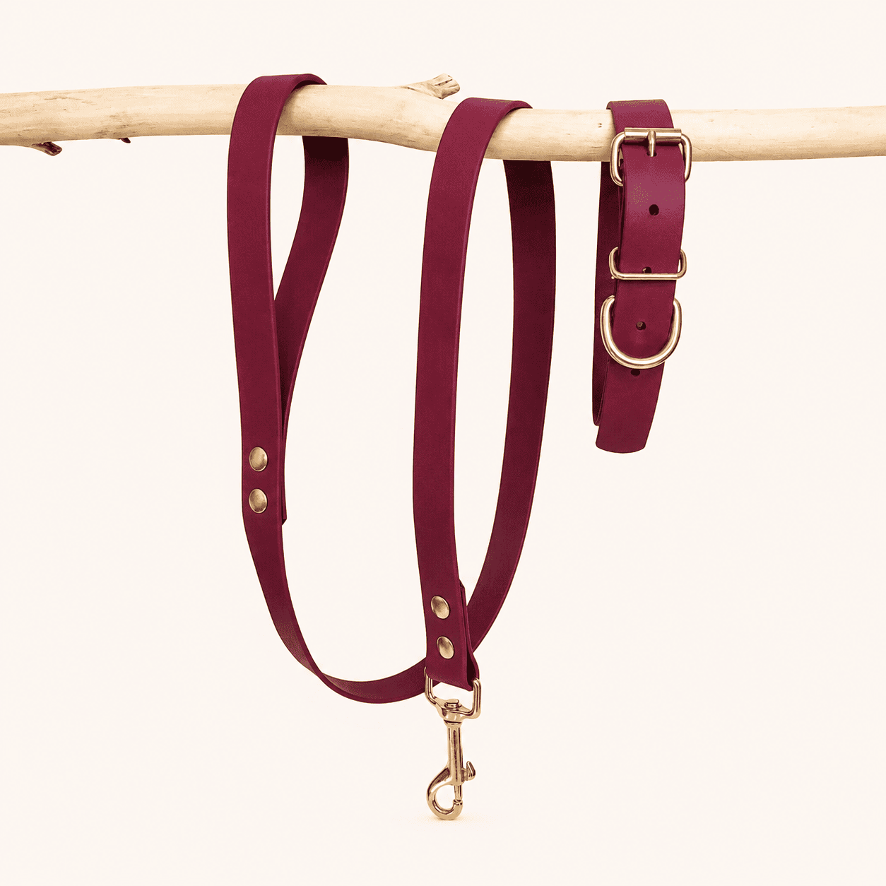 laisse-collier-biothane-chiens-classique-framboise