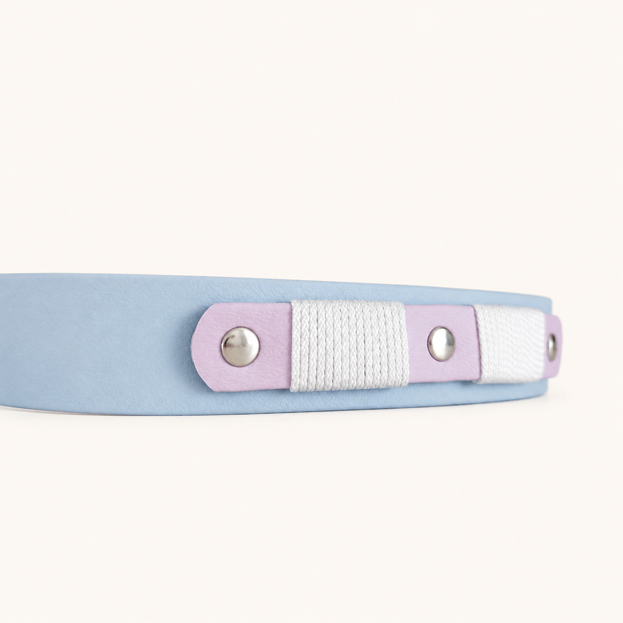 collier-chien-biothane-lilas-bleu-ciel