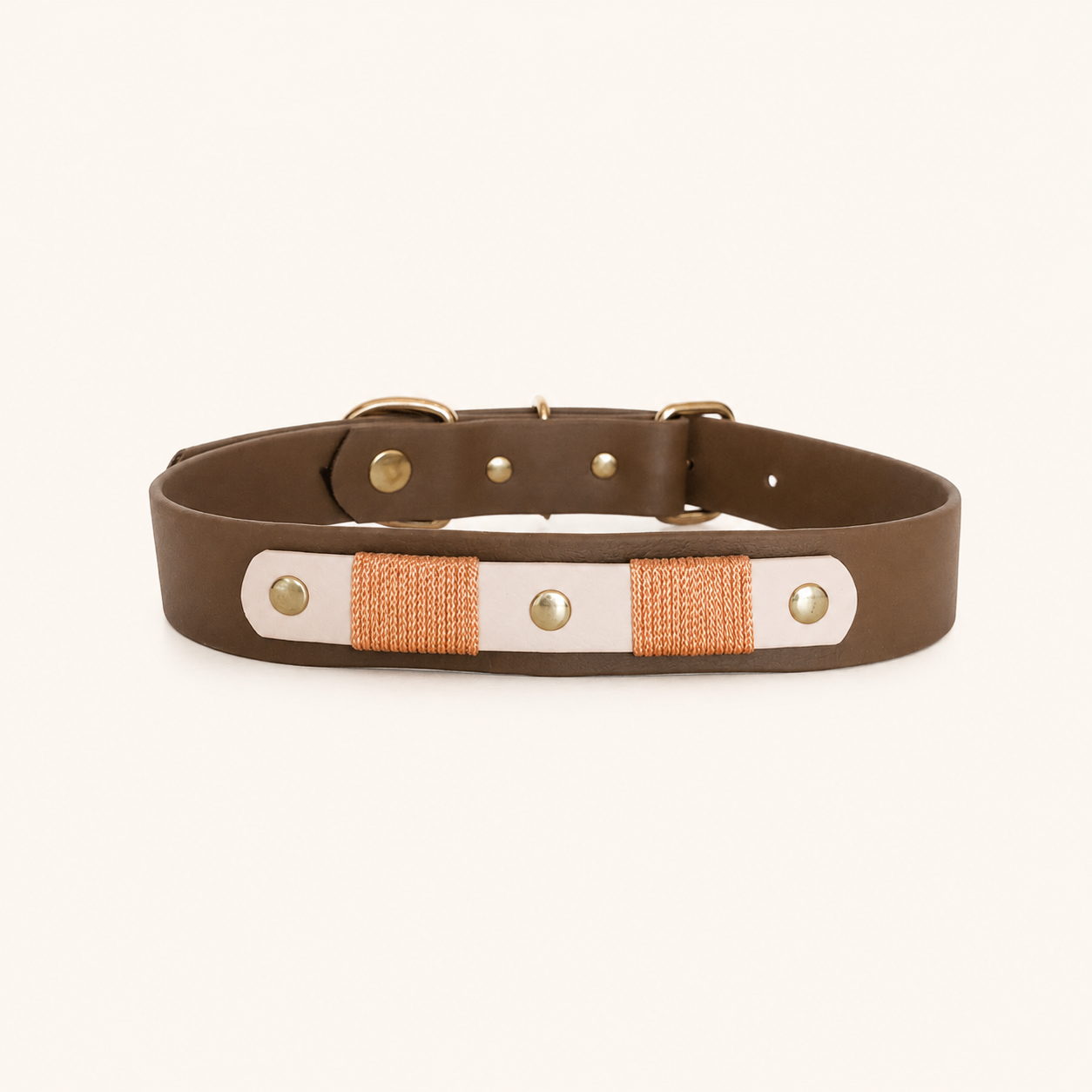collier-chiens-biothane-coffee