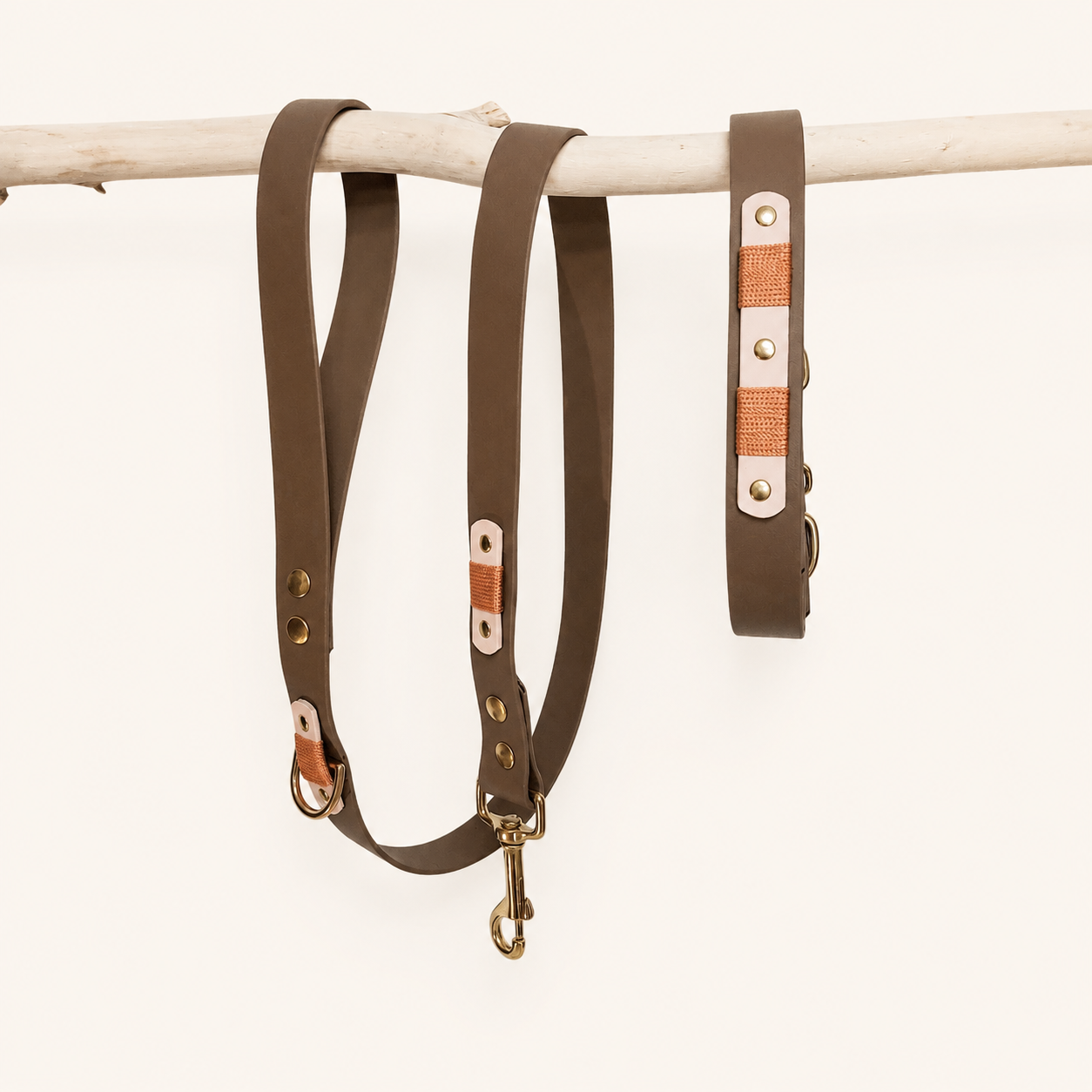 collier-laisse-biothane-chien-coffee
