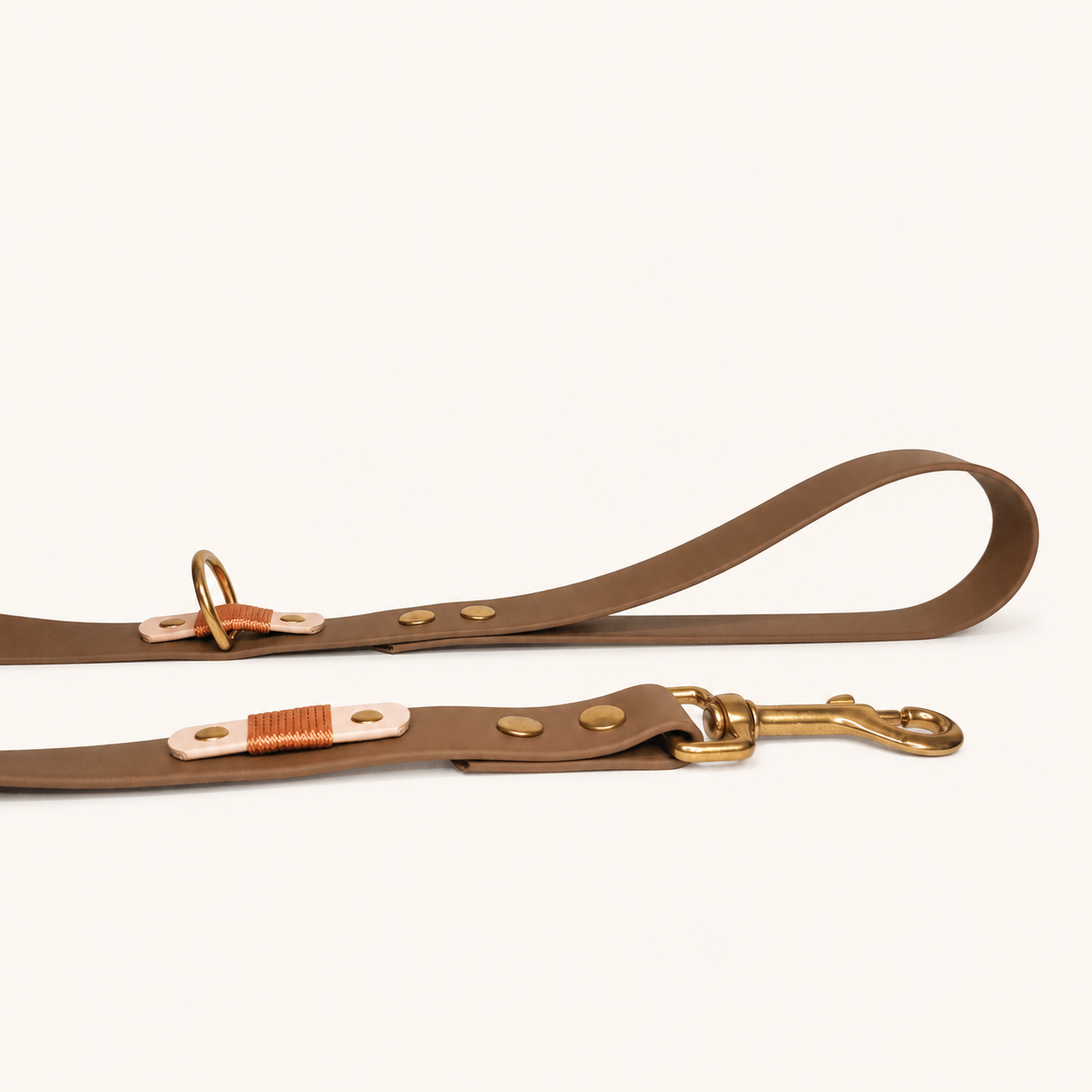 laisse-coffee-chien-biothane