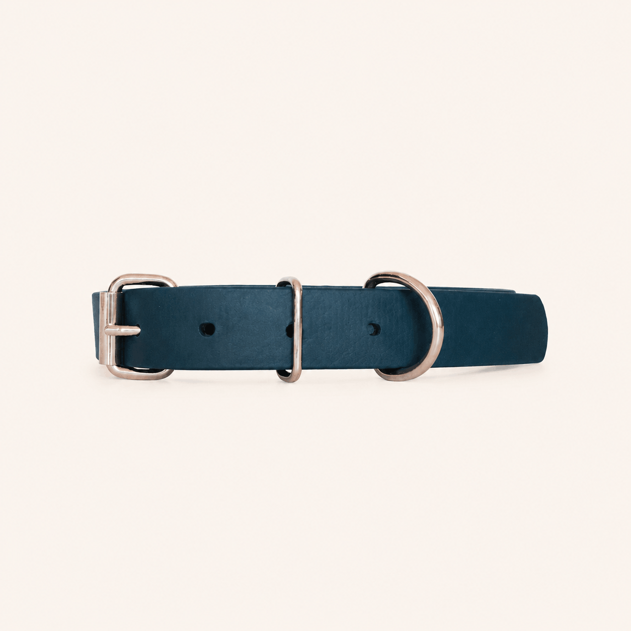 collier-biothane-chien-forest