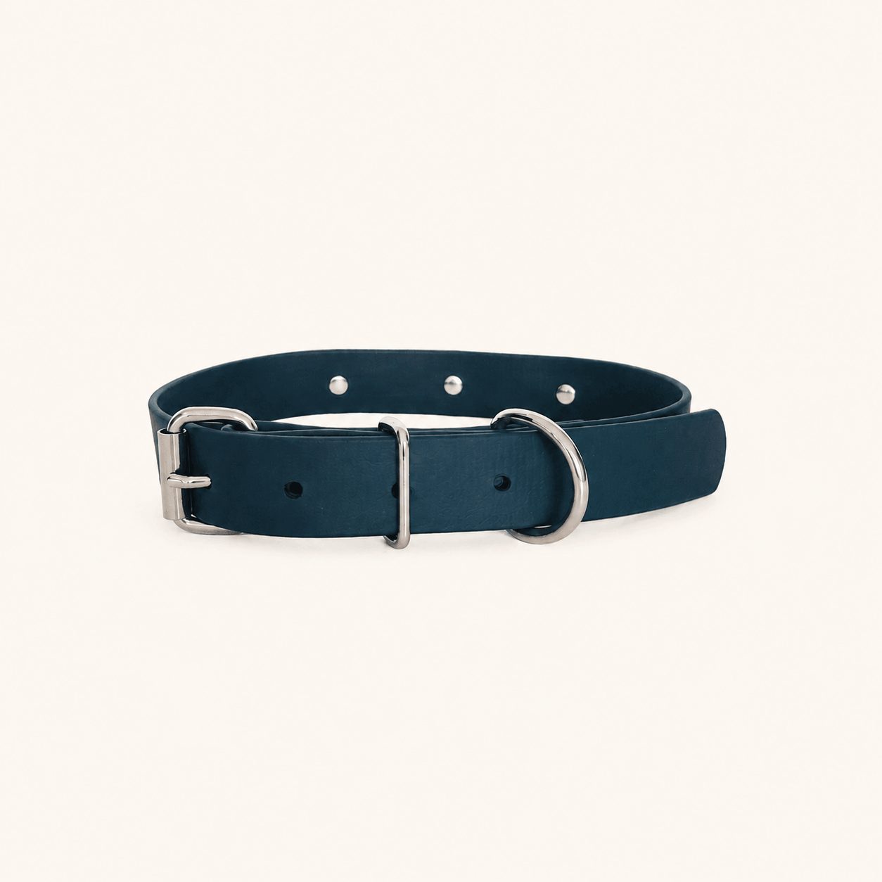 collier-biothane-chiens-forest