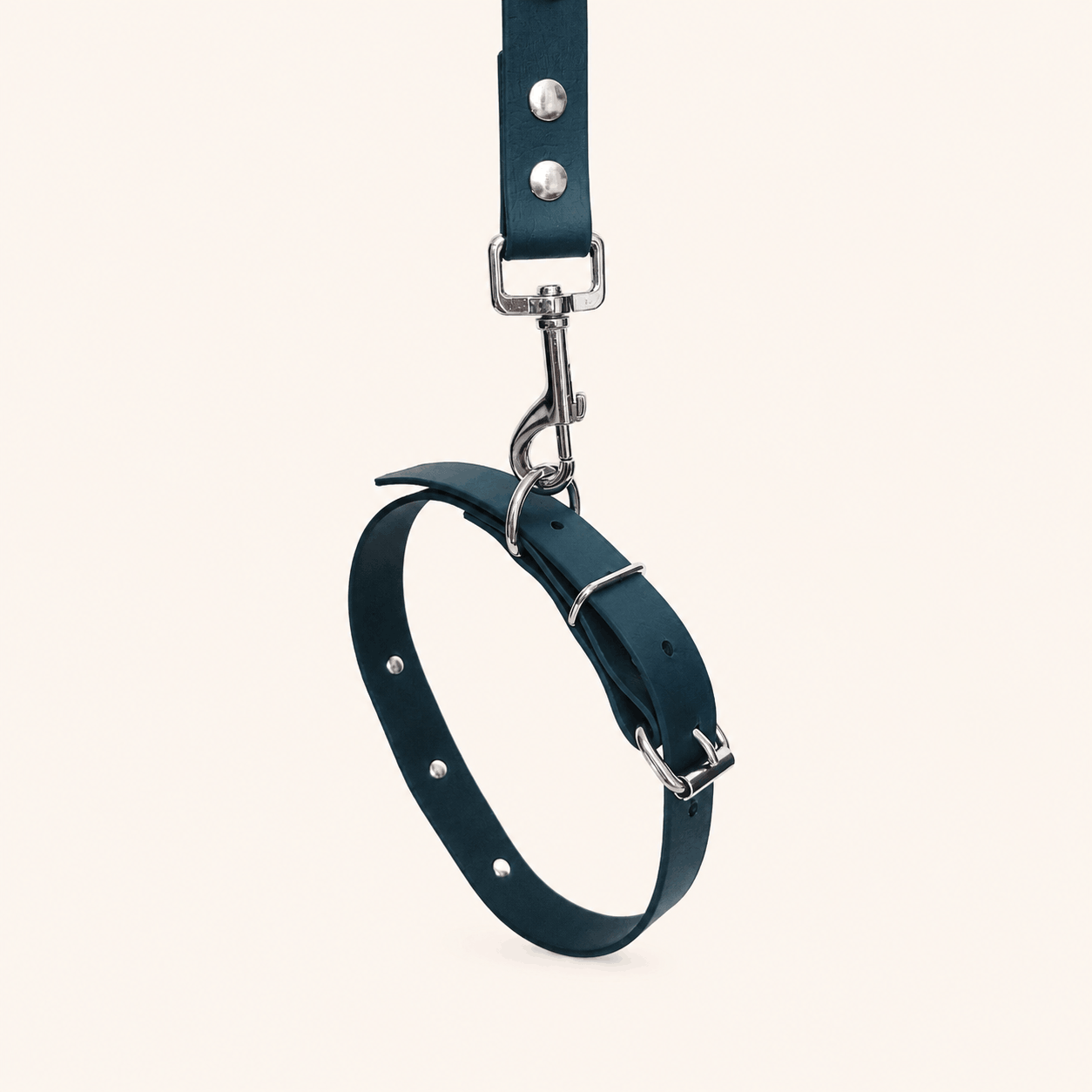 collier-laisse-biothane-chiens-forest