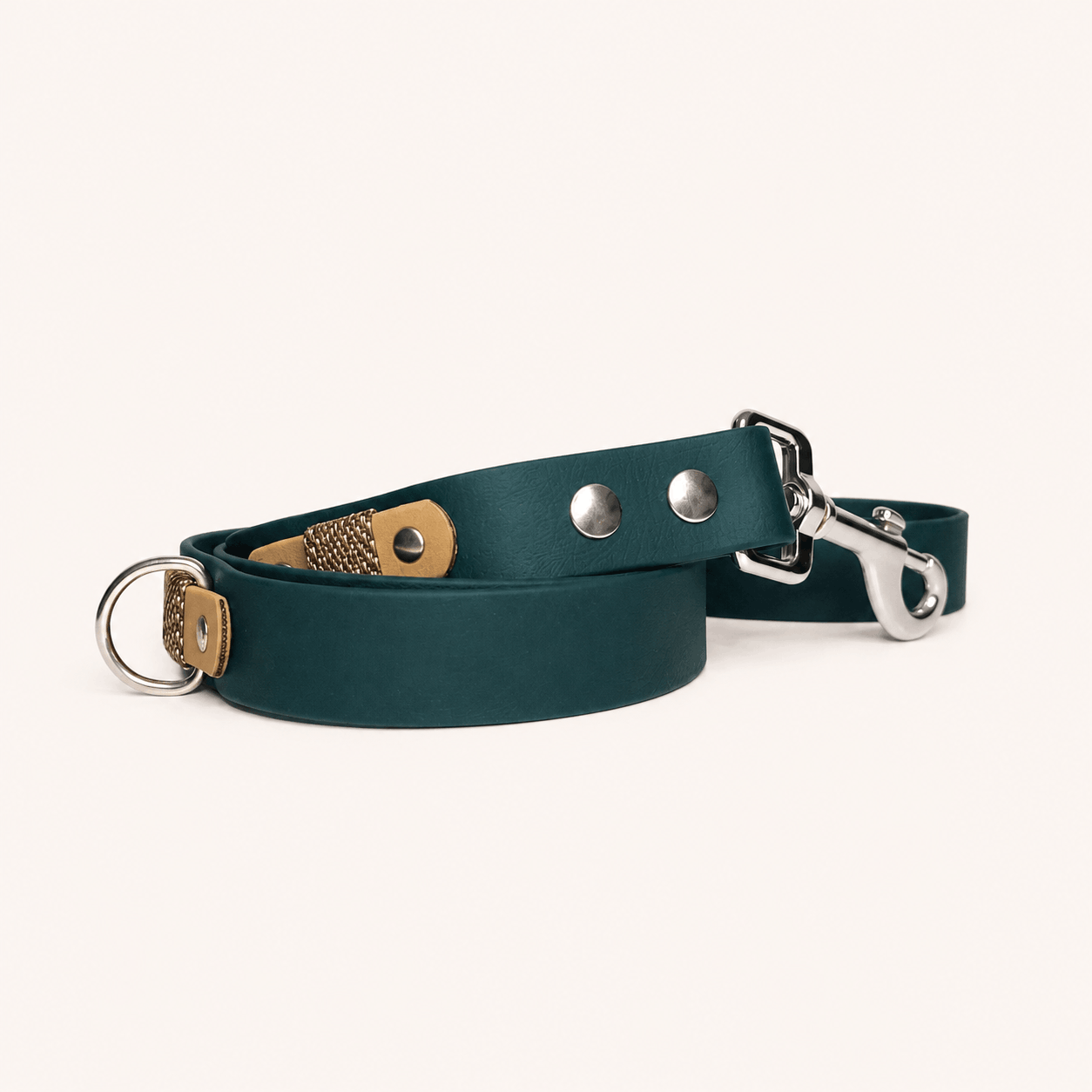 laisse-forest-chien-biothane