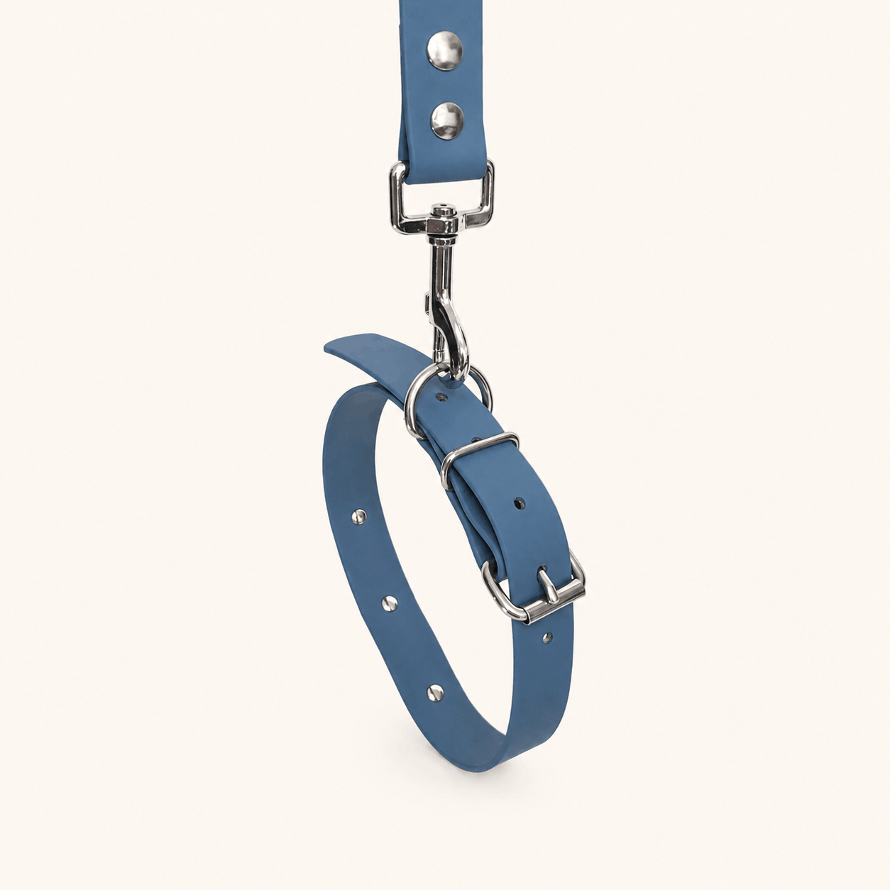 collier-laisse-biothane-chiens-navi