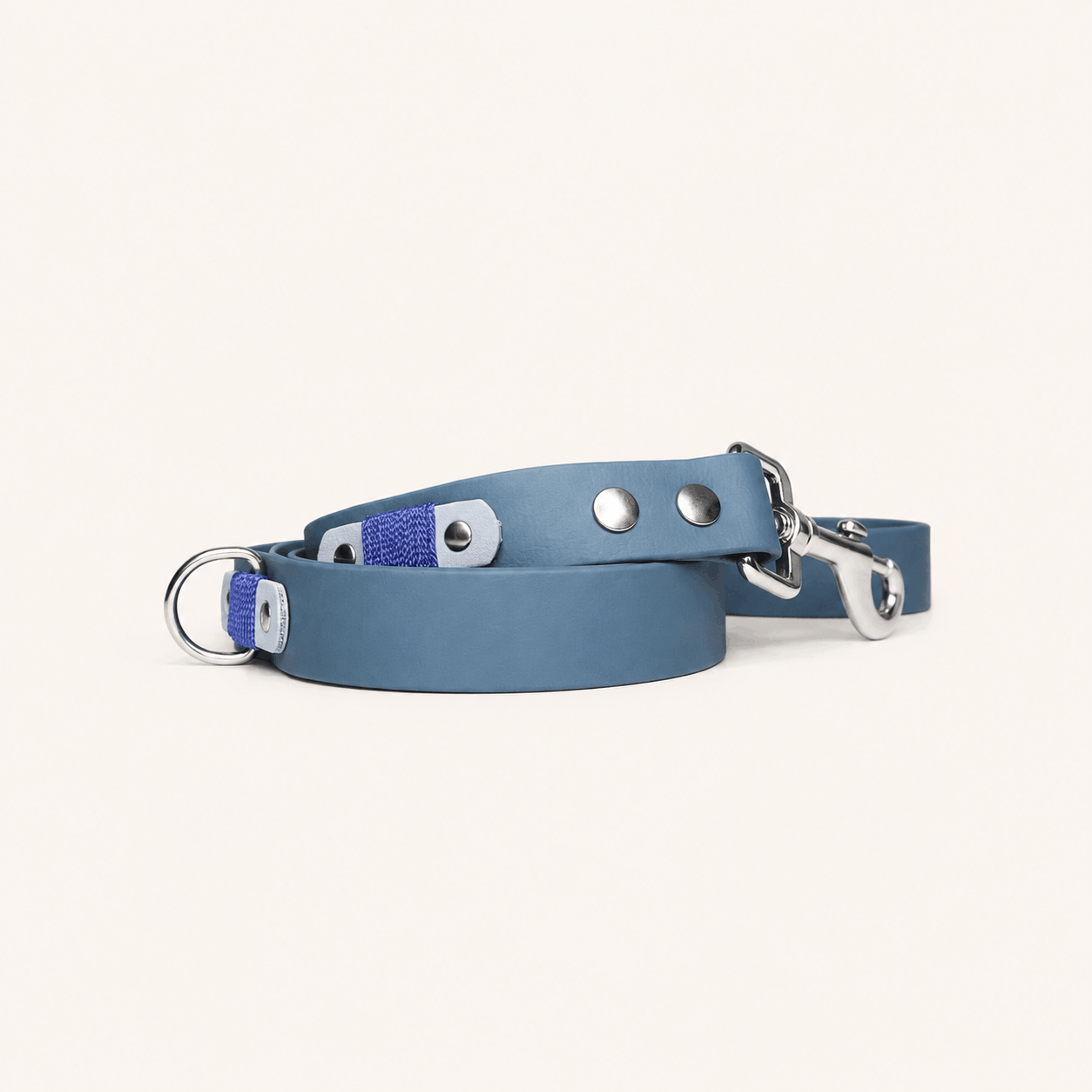 laisse-navi-chiens-biothane