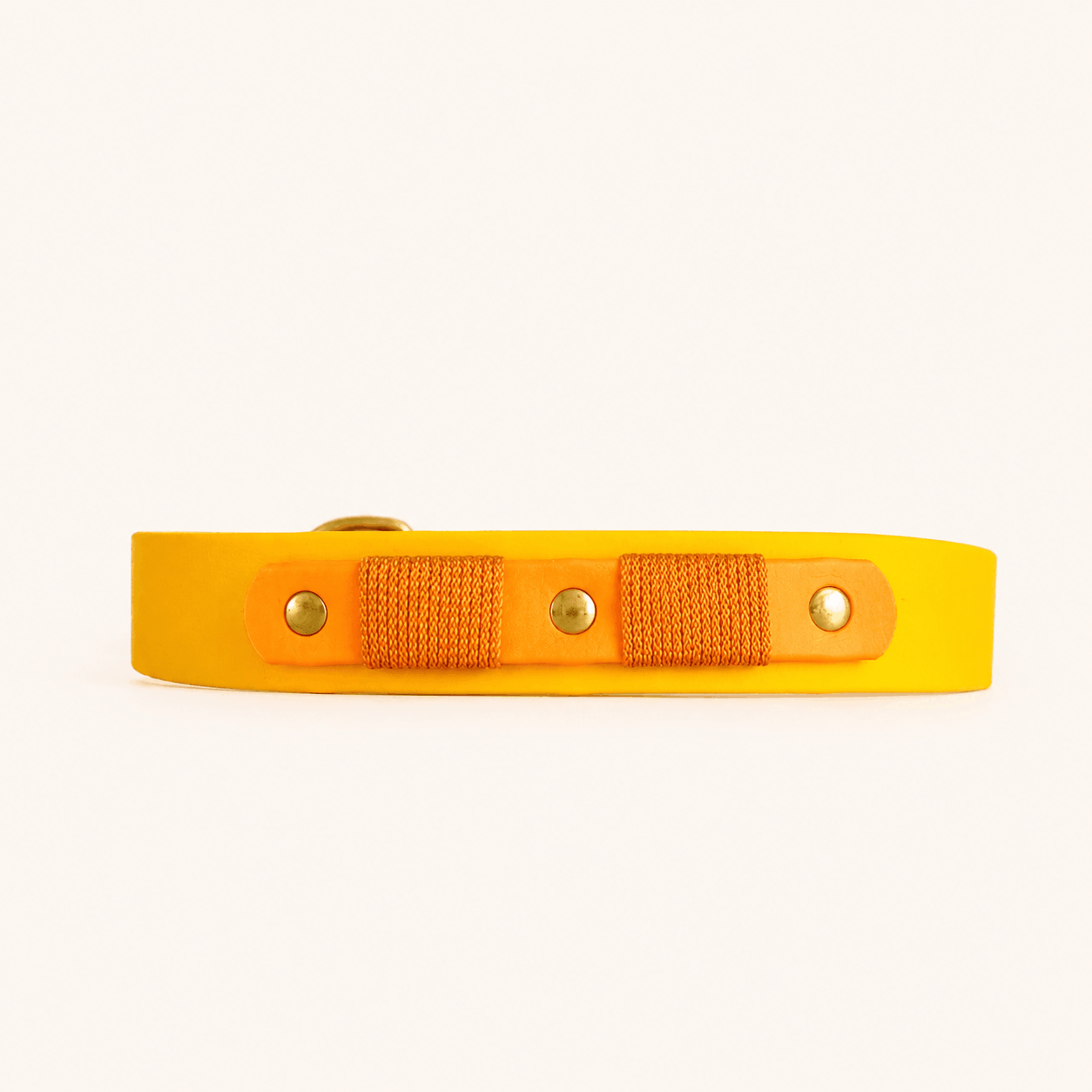 collier-chiens-biothane-jaune