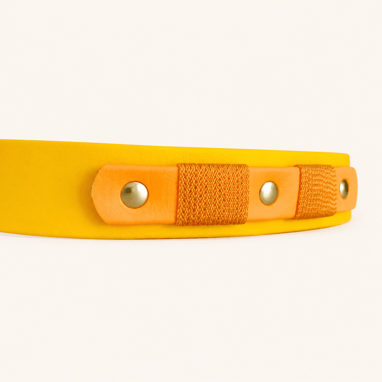 collier-chien-jaune-biothane