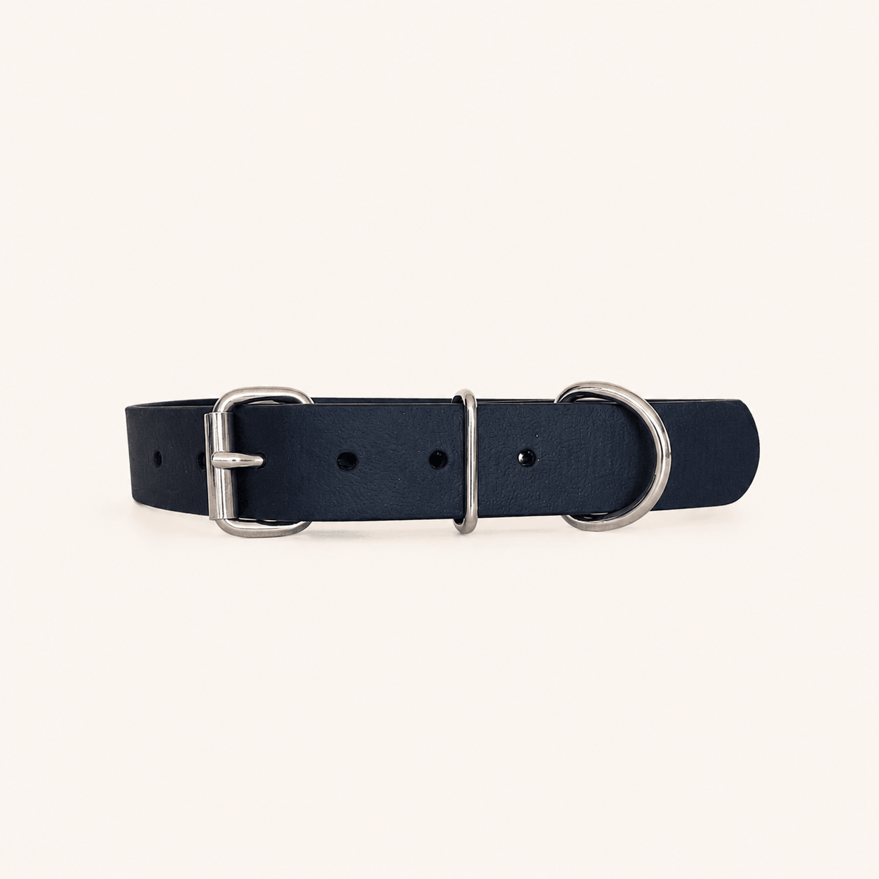 collier-biothane-chien-noir