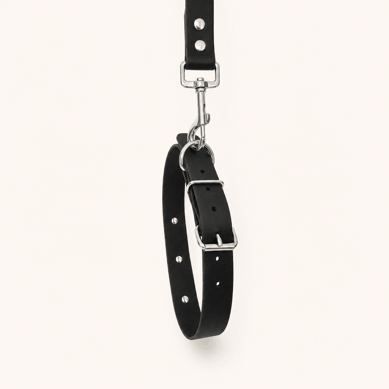collier-laisse-biothane-chiens-noir