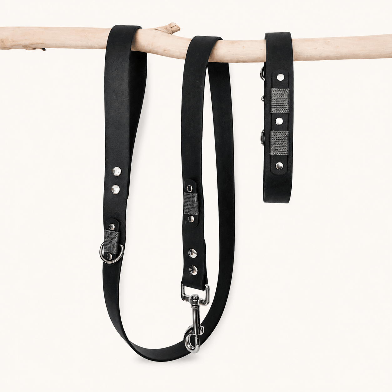 collier-laisse-ensemble-biothane-chien-noir