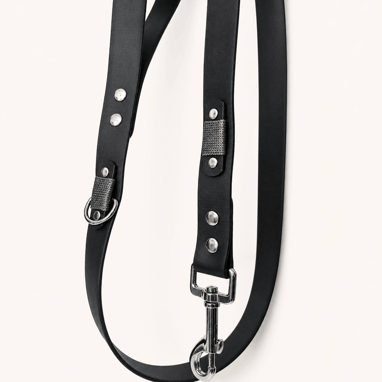 laisse-biothane-noir-chiens