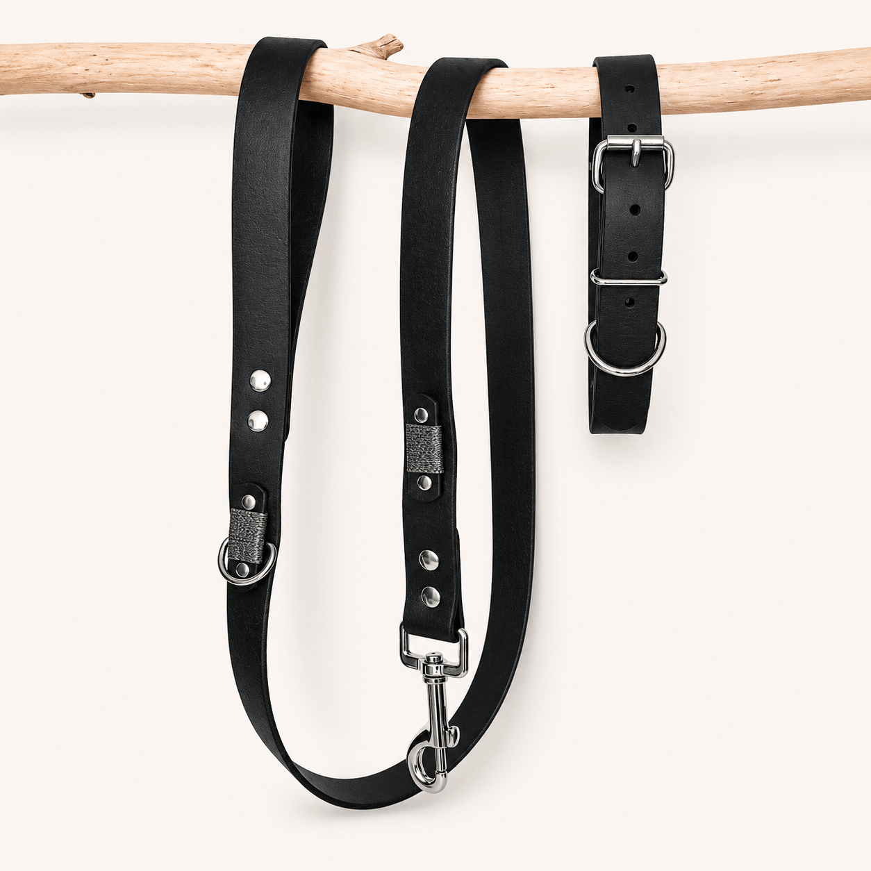 laisse-ensemble-biothane-chiens-noir