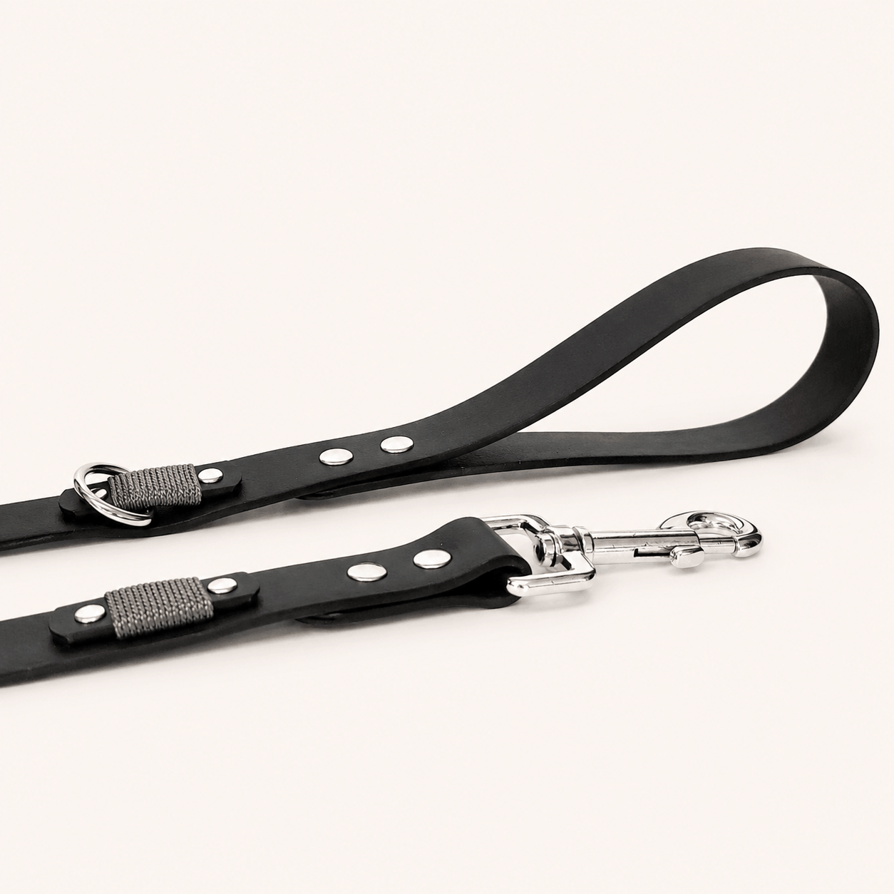 laisse-noir-chien-biothane