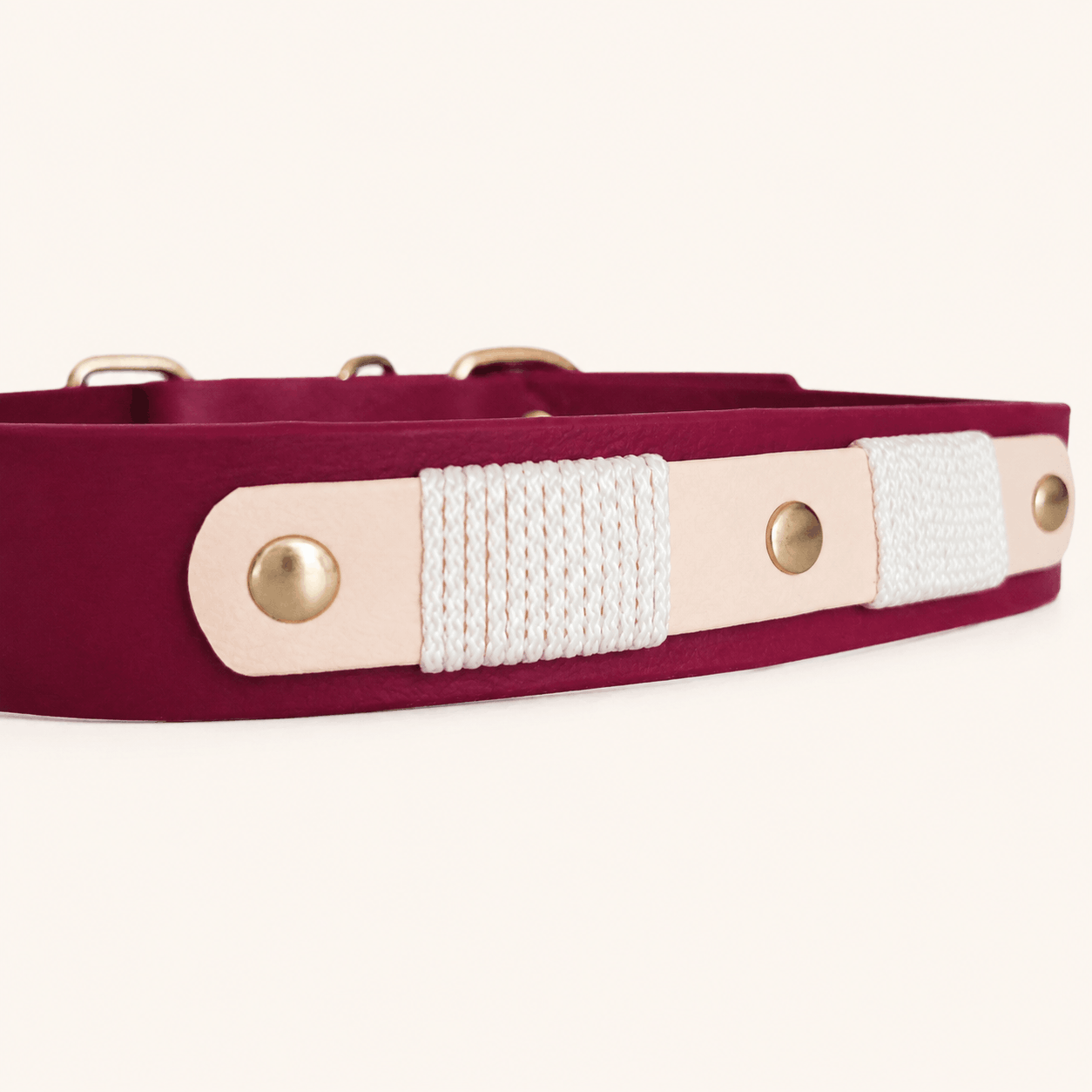 collier-chien-biothane-romy