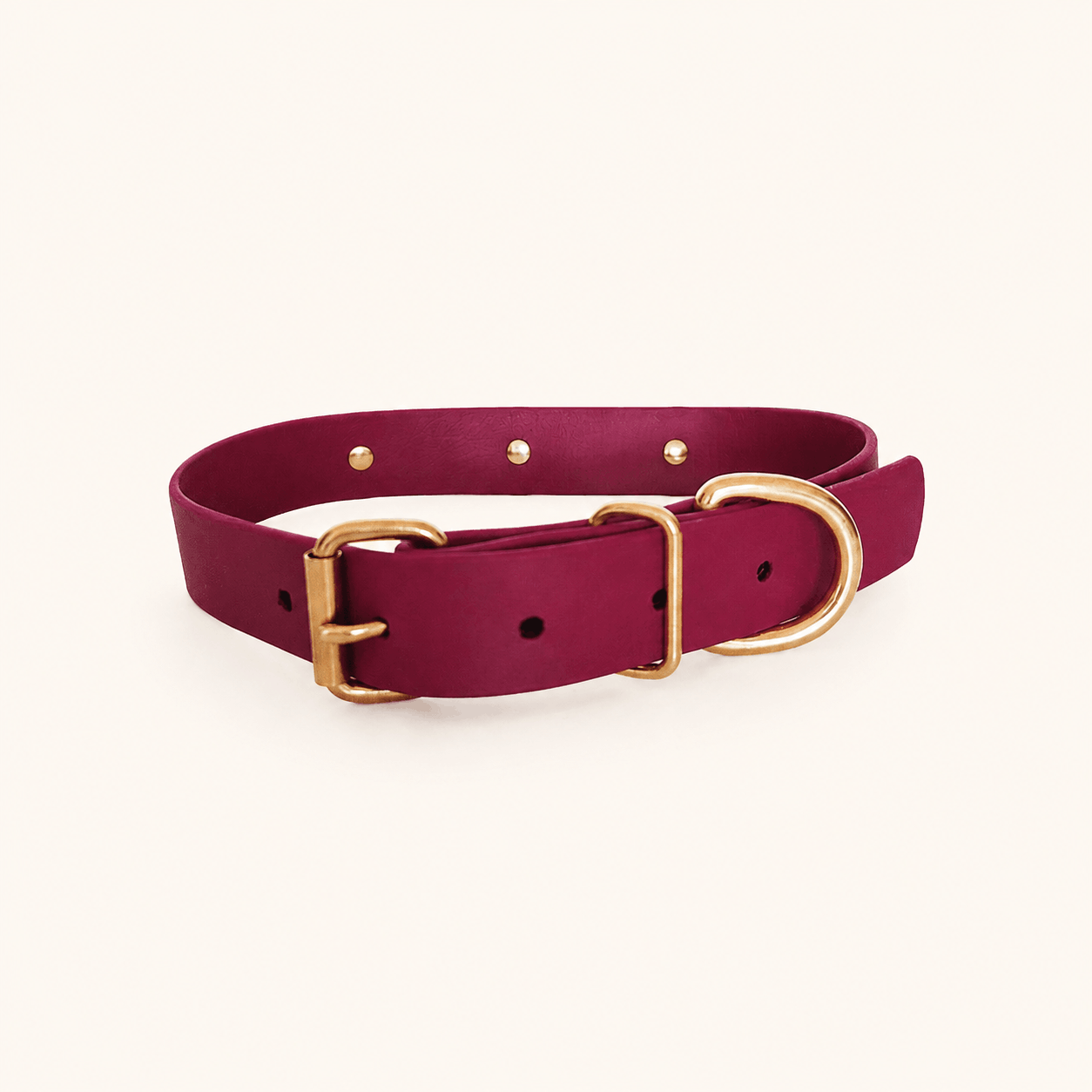 collier-biothane-chiens-romy
