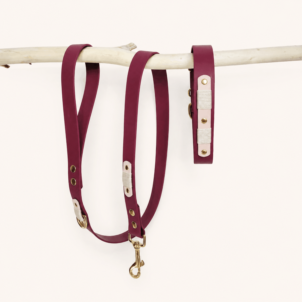 collier-laisse-biothane-chien-romy