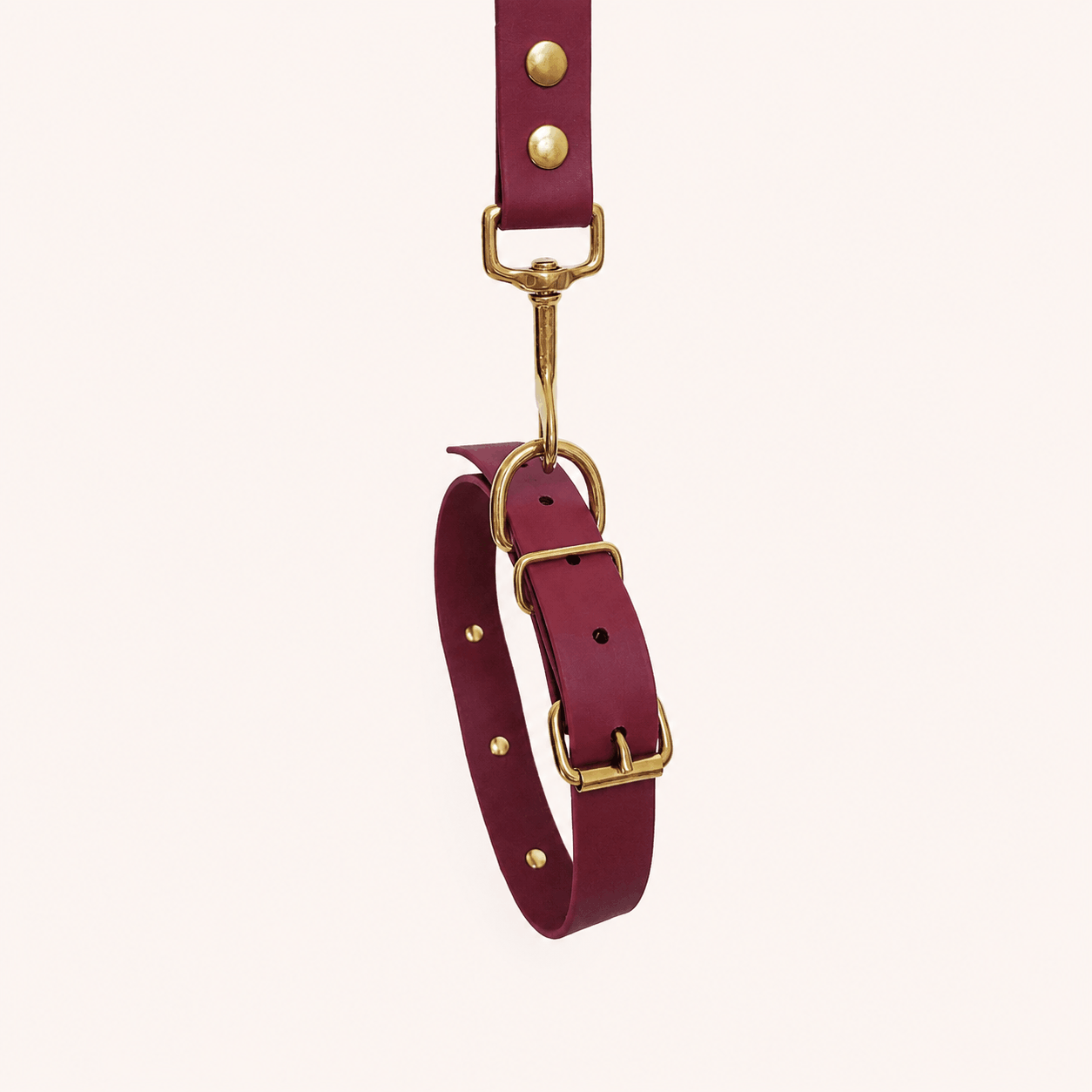 collier-laisse-biothane-chiens-romy