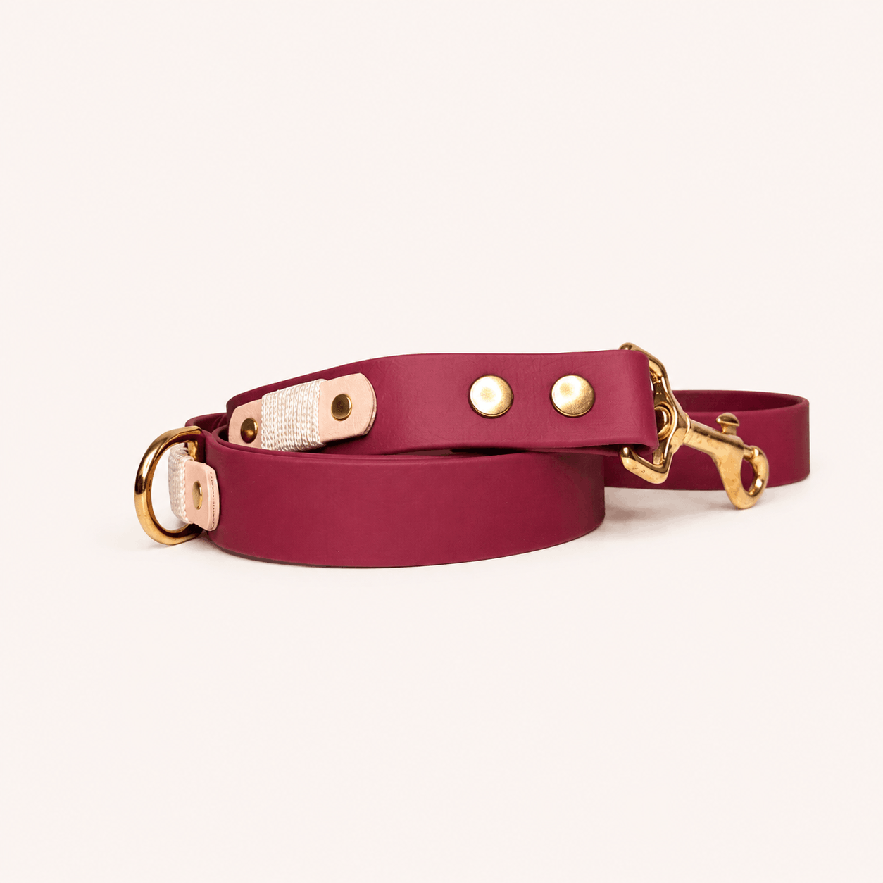 laisse-chiens-romy-biothane