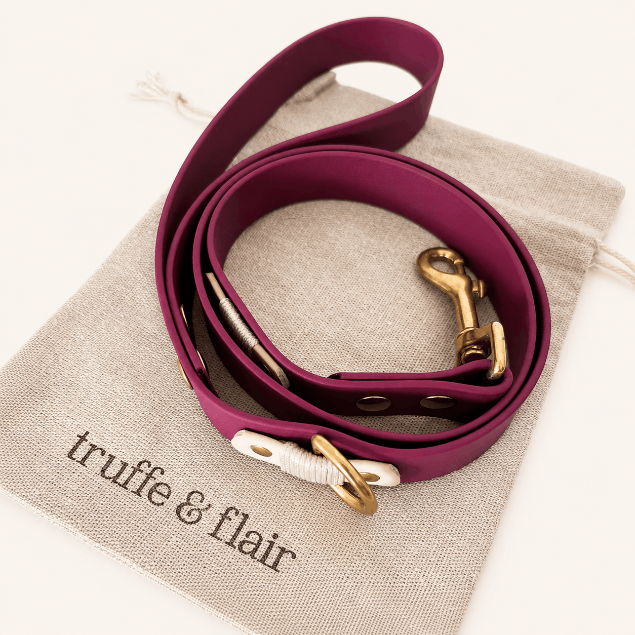 truffeetflair-laisse-chiens-biothane-romy