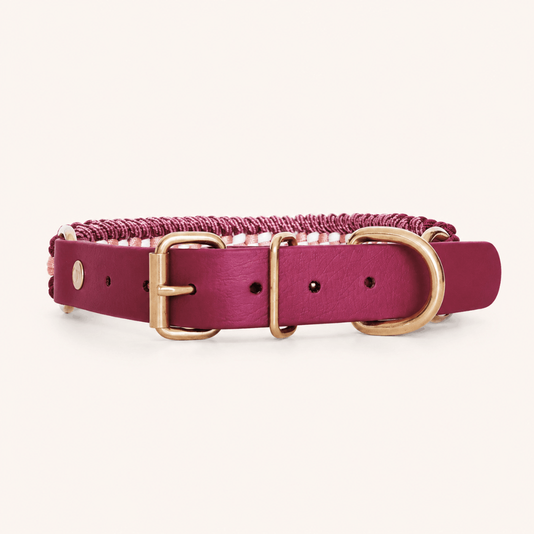 collier-paracorde-framboise-biothane-tresse-chien