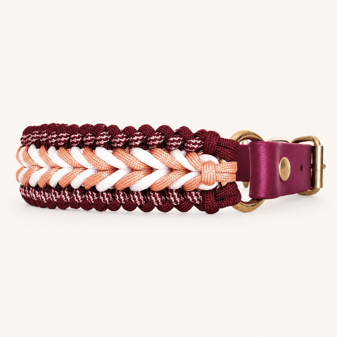 collier-paracorde-framboise-biothane-tresse-chiens