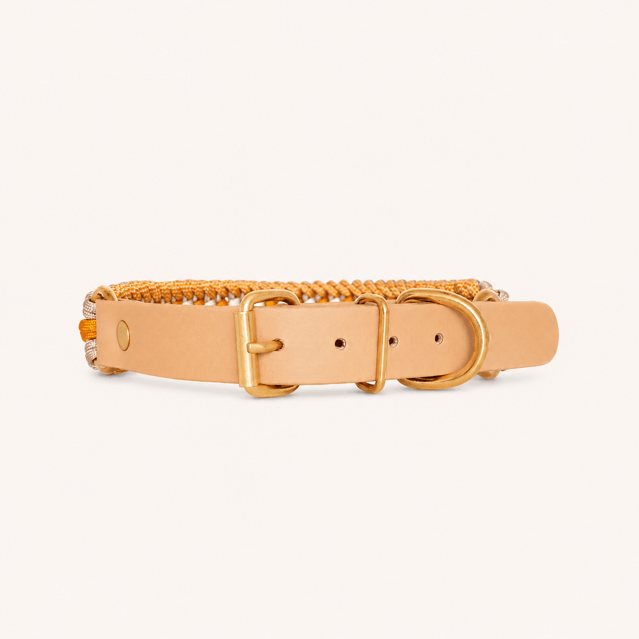 collier-paracorde-jaune-biothane-tresse-chien
