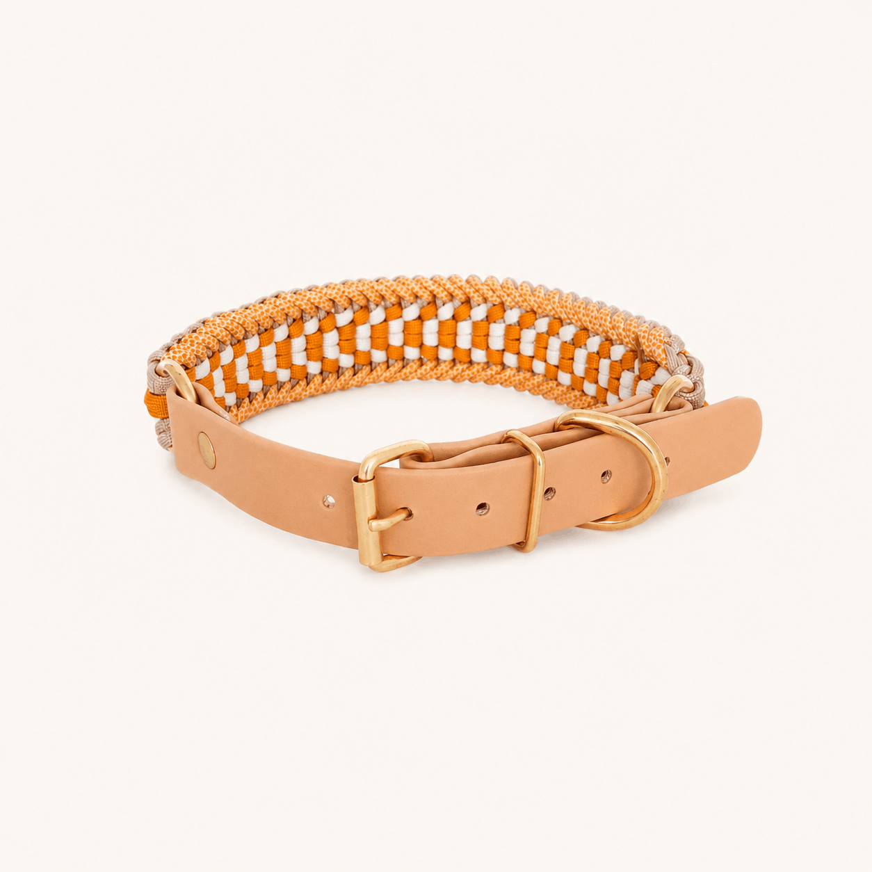 collier-paracorde-jaune-biothane-chien-tresse