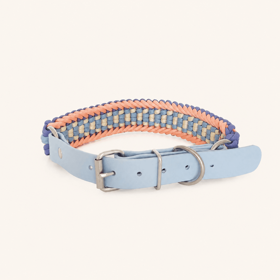 collier-paracorde-sunset-biothane-chien-tresse