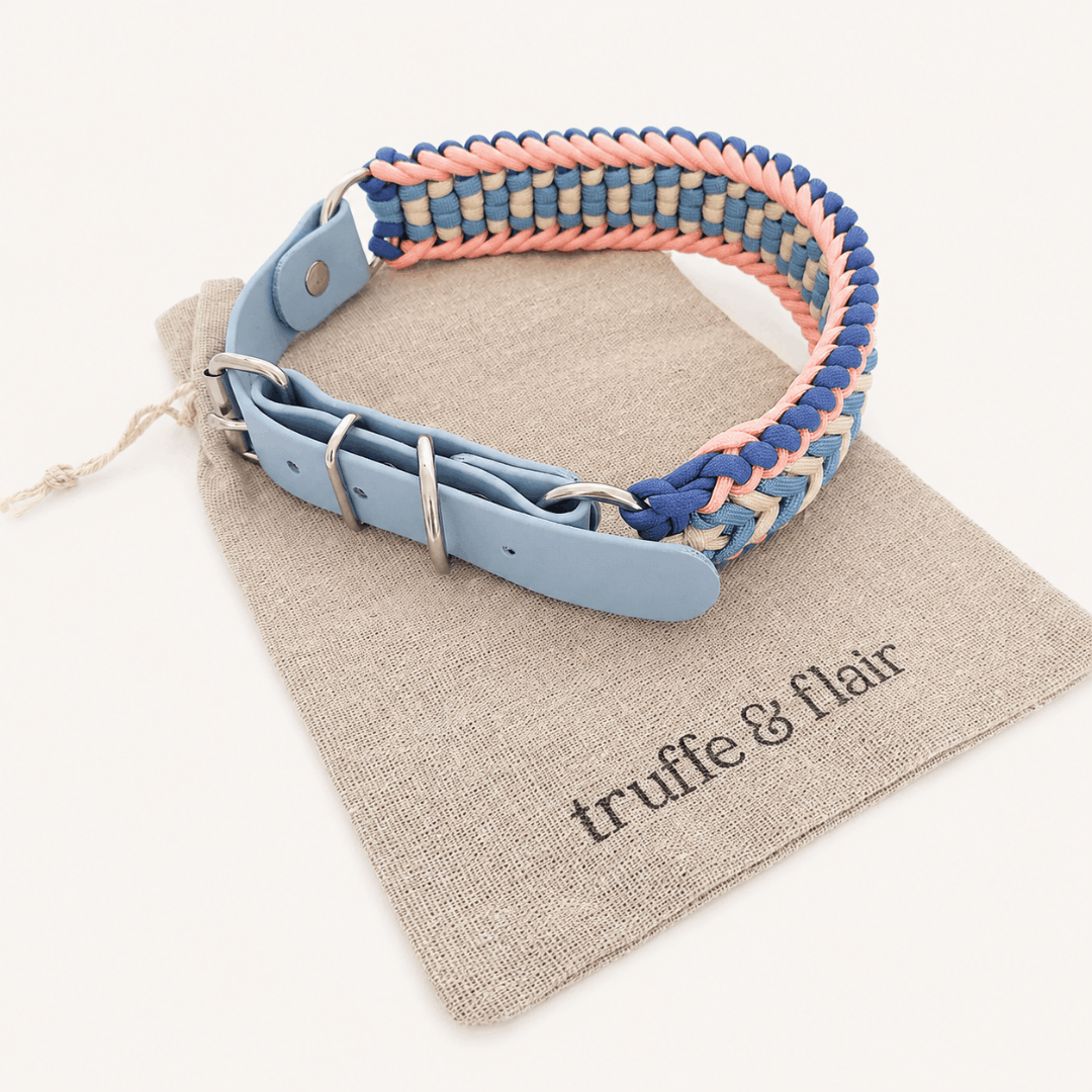 collier-chien-sunset-paracorde-biothane-tresse-truffeflair
