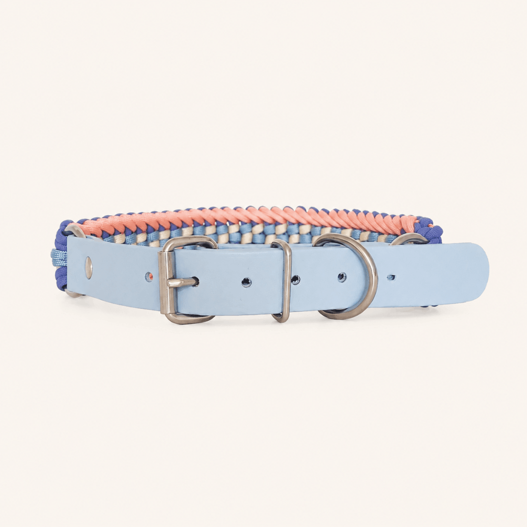 collier-paracorde-sunset-biothane-tresse-chien