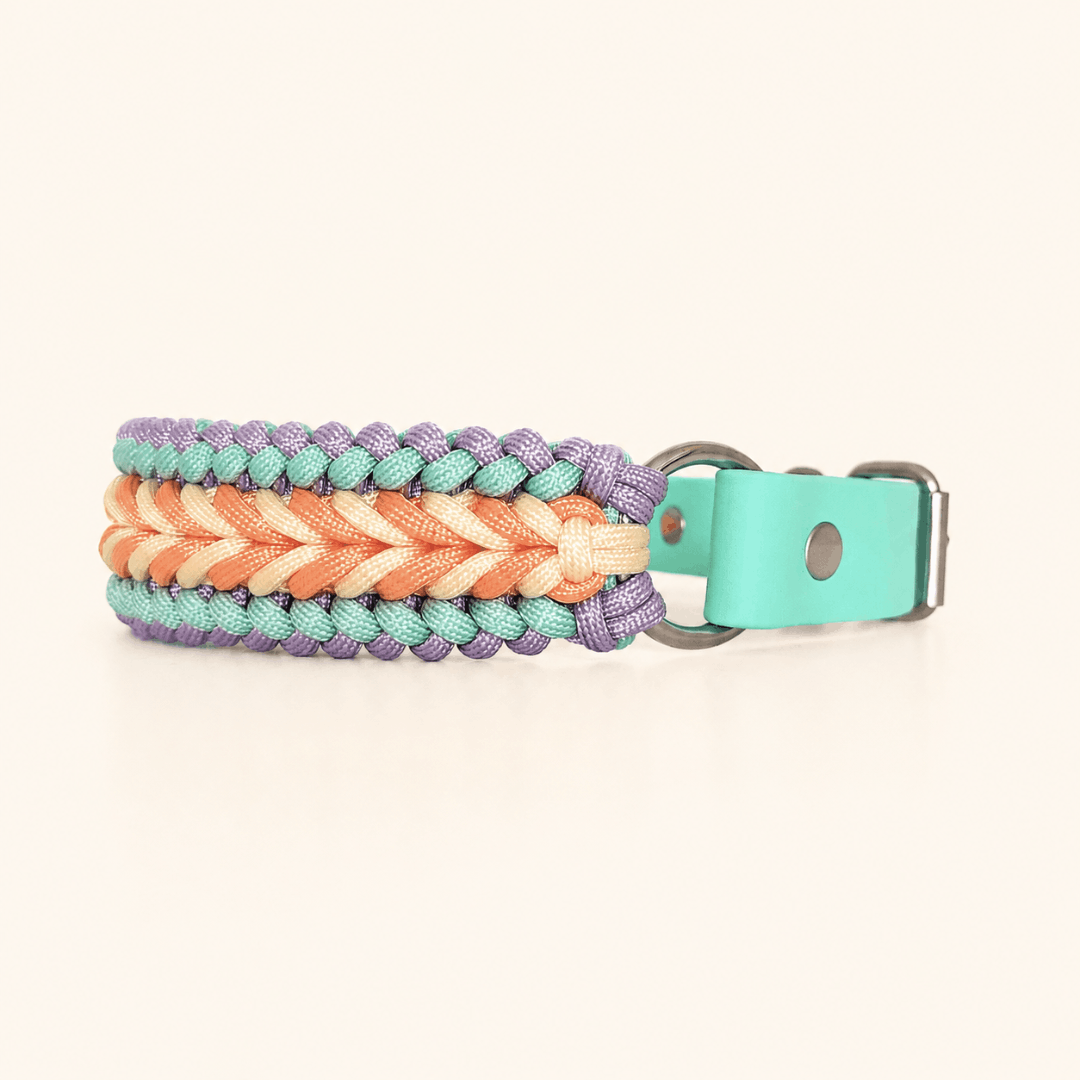 collier-chien-paracorde-pastel-biothane-tresse